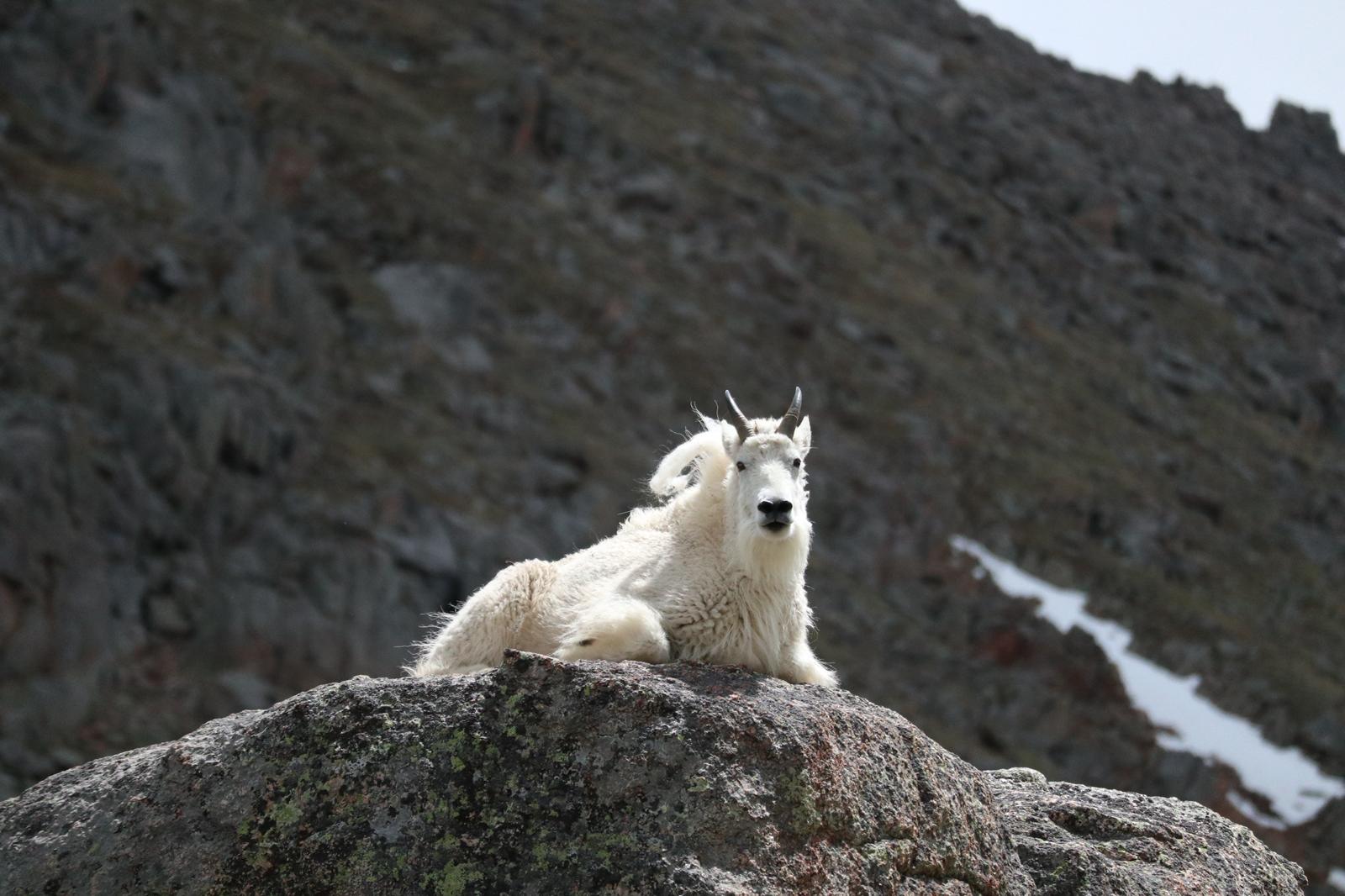 De Cols van Krol 6: Mount Evans